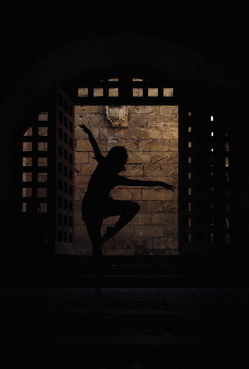 Silhouette Female Ballet Dancer 500x741